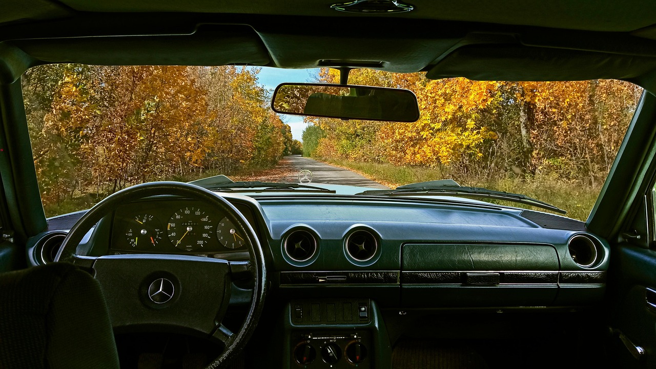 mercedes, mercedes w123, retro, autumn, road, car wallpapers, nature, landscape, ukraine, peace, silence, calmness, car, vintage, old, natural